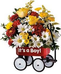 Baby's First Wagon Davenport Florist - Same Day Flower Delivery - Flower Power 